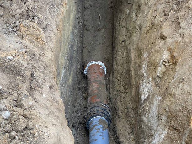 Best Professional water damage repair  in Minier, IL
