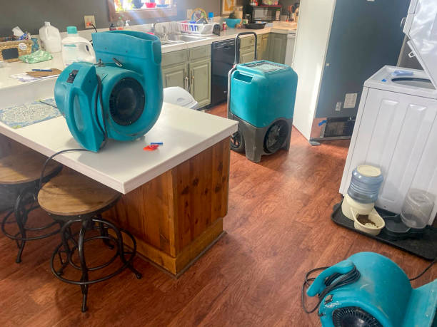 Best Flooded house restoration  in Minier, IL