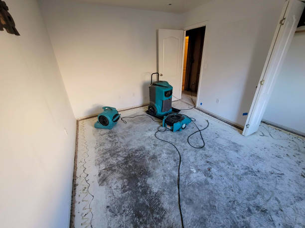 Best Carpet water damage restoration  in Minier, IL
