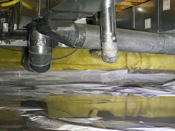 Best Ceiling water damage repair  in Minier, IL