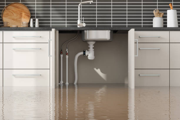 Best Water damage restoration near me  in Minier, IL