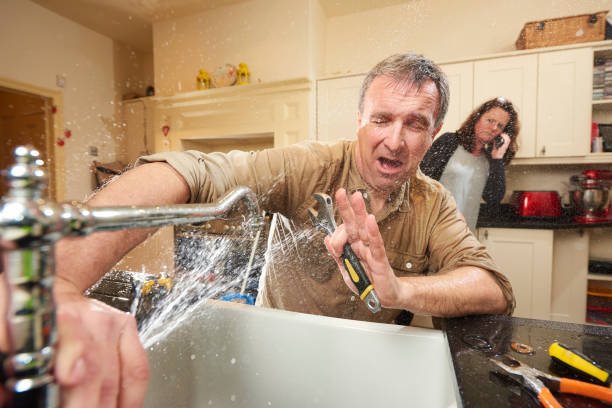 Best Flood restoration services  in Minier, IL